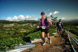 BIB: 9388, 
                            <button type="button" onclick="openModal(19125016)" class="btn btn-primary btn-sm float-right btn-popup" data-toggle="modal" data-target=".modal-high-quality">
                        <i class="fas fa-shopping-cart"></i> Add to Cart
                    </button>
                                            <button type="button" onclick="isThisMe(19125016, true)" class="btn btn-success btn-sm float-right btn-popup btn-isme hidden" data-toggle="tooltip" data-placement="bottom" title="นี่คือรูปของคุณใช่ไหม คลิกที่นี่เพื่อเอาเข้าอัลบั้ม">
                        <i class="fas fa-plus"></i> Add to album
                    </button>
                    <button type="button" onclick="isThisMe(19125016, false)" class="btn btn-warning btn-sm float-right btn-popup btn-isnotme hidden">
                        <i class="fas fa-ban"></i> Remove from album
                    </button>